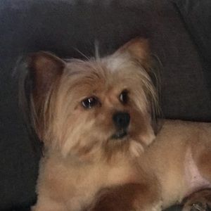 Meet your Posher, Damariz